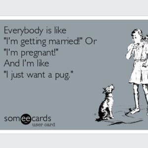 ❗️Offers Welcome❗️